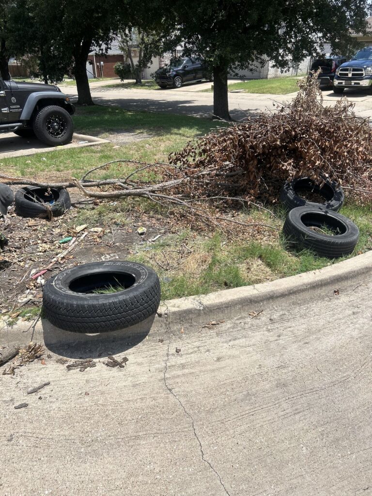 Before: an illegal dumping site in Arlington, Texas